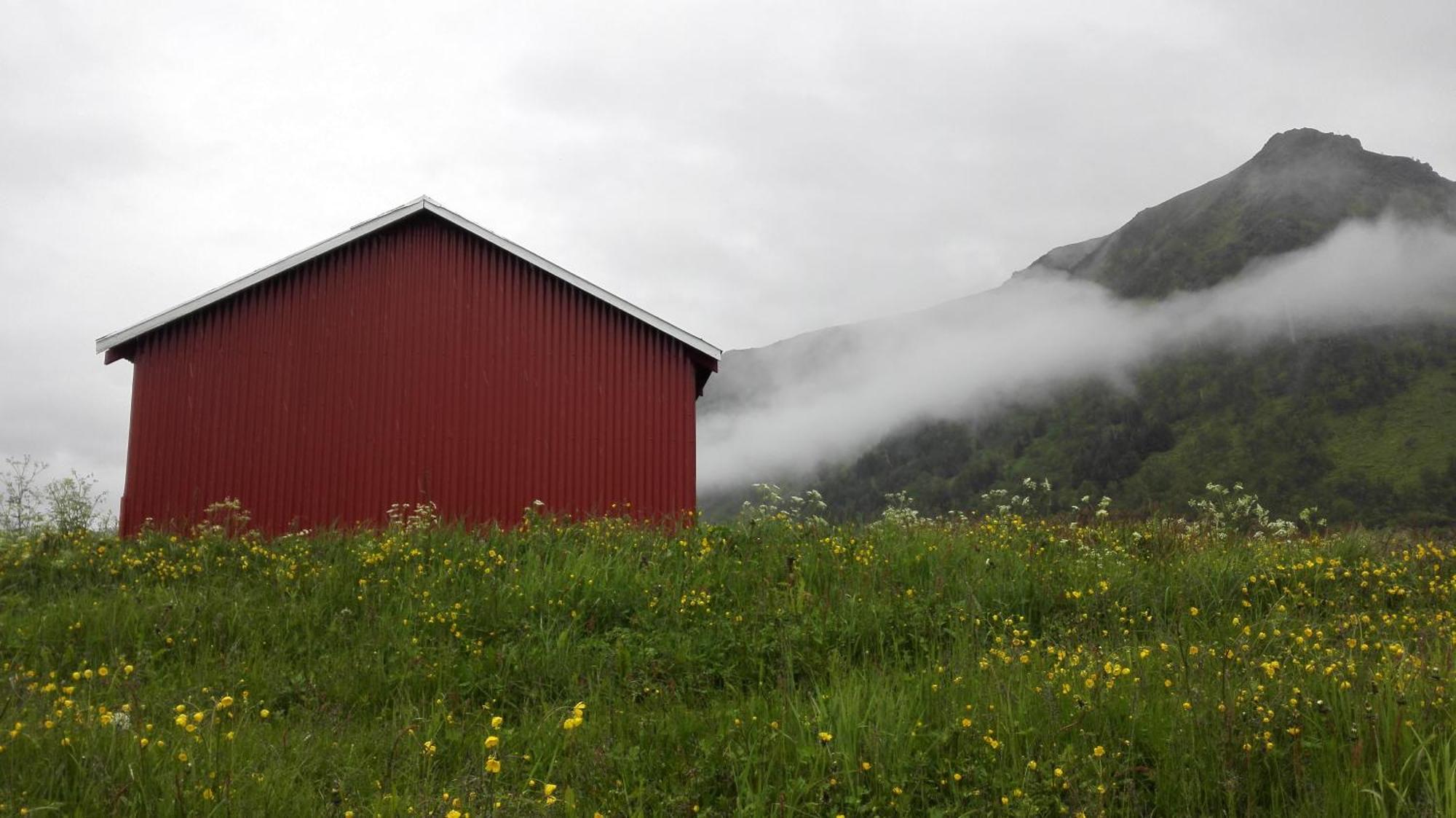 Marmelkroken Bo (Andya) Rom bilde